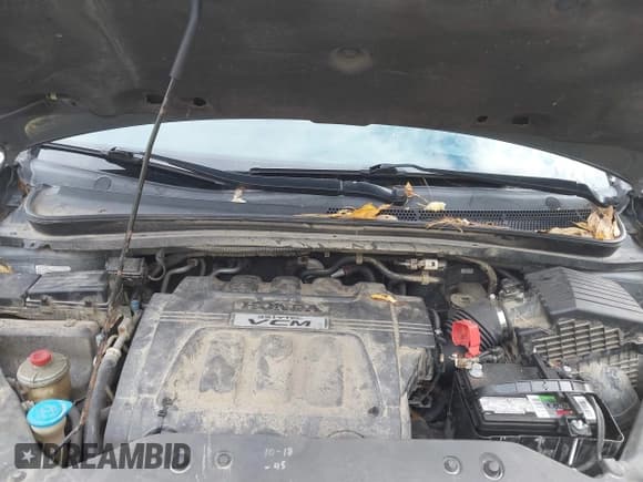 ✅ 2010 Honda Odyssey EX-L • VIN: 5FNRL3H73AB021493 • Lot: 43497434. Wystawiony na IAAI z przebiegiem 156 530 mil. Bezpłatny archiwum sprzedaży aukcyjnych z USA i szczegółowy raport historii pojazdu na DreamBid. Zdjęcie 10.