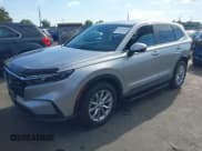 ✅ 2024 Honda CR-V EX-L • VIN: 2HKRS4H70RH451407 • Lot: 43210030. Wystawiony na IAAI z przebiegiem 7 380 mil. Bezpłatny archiwum sprzedaży aukcyjnych z USA i szczegółowy raport historii pojazdu na DreamBid. Zdjęcie 2.