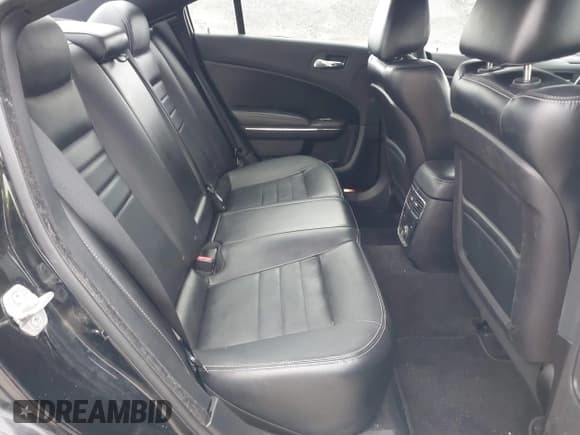 ✅ 2013 Dodge Charger SXT • VIN: 2C3CDXHG2DH525370 • Лот: 41395980. Опубликован ранее на IAAI с пробегом 226 079 миль. Бесплатный доступ к архиву аукционных продаж из США и подробный отчёт об истории автомобиля на DreamBid. Изображение 8.