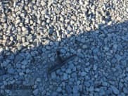 ✅ 1992 Ford F-150 S • VIN: 1FTEX15Y4NKA33956 • Lot: 92682215. Listed on Copart with Not provided. Free auction sales archive from the USA and detailed vehicle history report at DreamBid. Image 12.