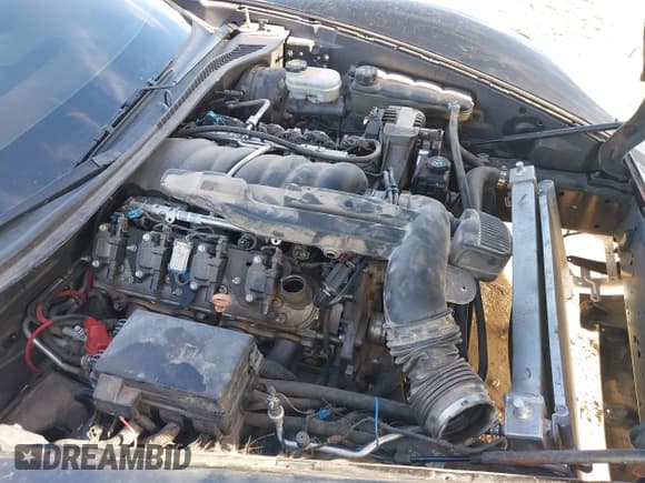 ✅ 2008 Chevrolet Corvette • VIN: 1G1YY26W385109322 • Lot: 43782246. Wystawiony na IAAI z przebiegiem Nie podano. Bezpłatny archiwum sprzedaży aukcyjnych z USA i szczegółowy raport historii pojazdu na DreamBid. Zdjęcie 6.