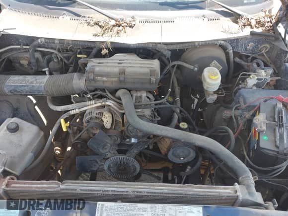 2001 Dodge 1500 with VIN 1B7HC16Y61S142680, listed as a IAAI auction lot 42546370 with 212,573 mi miles and . Bid and sale history available at DreamBid. Image 10.