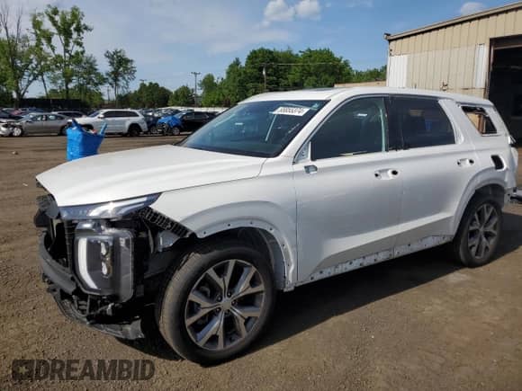 2022 Hyundai Palisade SEL с VIN KM8R44HE2NU347456, выставлен на аукционе Copart как лот 55855374 с пробегом 84 603 миль миль и Списание • Salvage title. История ставок и продаж доступна на DreamBid. Изображение 1.