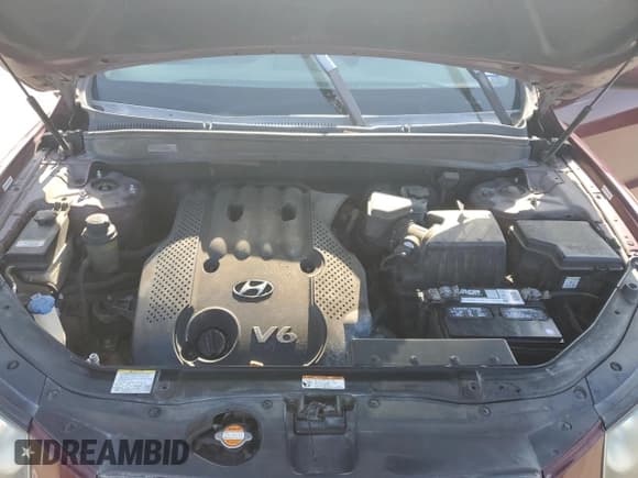 ✅ 2008 Hyundai Santa Fe GLS • VIN: 5NMSG13D08H181850 • Lot: 84327844. Listed on Copart with 233,978 mi. Free auction sales archive from the USA and detailed vehicle history report at DreamBid. Image 11.