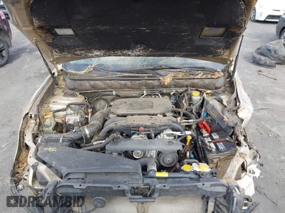 ✅ 2010 Subaru Legacy Premium All-Weather Anniversary • VIN: 4S3BMBG61A3220704 • Lot: 43705587. Wystawiony na IAAI z przebiegiem Nie podano. Bezpłatny archiwum sprzedaży aukcyjnych z USA i szczegółowy raport historii pojazdu na DreamBid. Zdjęcie 10.