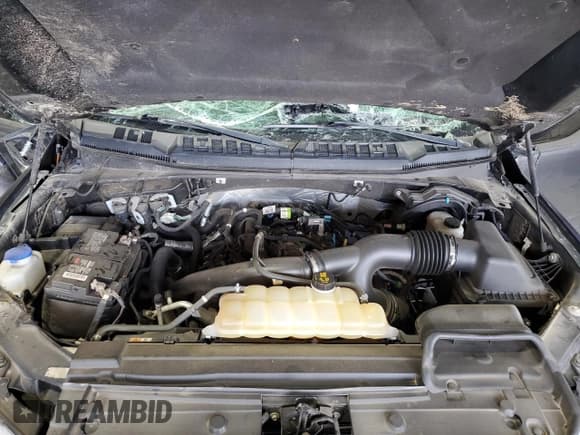 ✅ 2019 Ford F-150 XL • VIN: 1FTEW1EP8KKC25645 • Lot: 62472725. Listed on Copart with 108,968 mi. Free auction sales archive from the USA and detailed vehicle history report at DreamBid. Image 11.