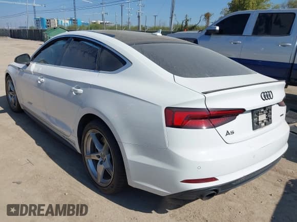 ✅ 2019 Audi A5 Sportback Premium Plus • VIN: WAUENCF5XKA065413 • Lot: 43494871. Listed on IAAI with 95,154 mi. Free auction sales archive from the USA and detailed vehicle history report at DreamBid. Image 3.