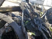 ✅ 2025 Kia Telluride SX-Prestige X-Line • VIN: 5XYP5DGC6SG673248 • Lot: 71287865. Wystawiony na Copart z przebiegiem Nie podano. Bezpłatny archiwum sprzedaży aukcyjnych z USA i szczegółowy raport historii pojazdu na DreamBid. Zdjęcie 9.