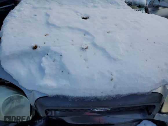 2003 Hyundai Santa Fe GLS with VIN KM8SC73D23U449633, listed as a Copart auction lot 88861775 with 181,299 mi miles and Salvage title. Bid and sale history available at DreamBid. Image 13.