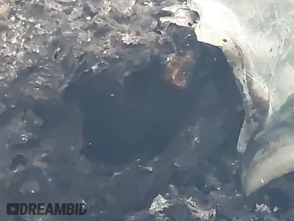 ✅ 2010 GMC Terrain SLE-2 • VIN: 2CTALDEWXA6343945 • Лот: 42780105. Опубликован ранее на IAAI с пробегом Не указан. Бесплатный доступ к архиву аукционных продаж из США и подробный отчёт об истории автомобиля на DreamBid. Изображение 15.