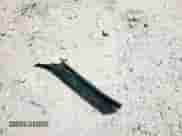 2001 Chevrolet Silverado 1500 с VIN 1GCEK14W11Z313933, выставлен на аукционе Copart как лот 60129915 с пробегом Не указан миль и Списание • Salvage title. История ставок и продаж доступна на DreamBid. Изображение 12.