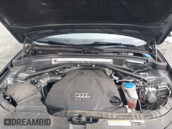 ✅ 2016 Audi Q5 Premium Plus • VIN: WA1CVAFP5GA010353 • Лот: 41859581. Опубликован ранее на IAAI с пробегом 127 127 миль. Бесплатный доступ к архиву аукционных продаж из США и подробный отчёт об истории автомобиля на DreamBid. Изображение 10.