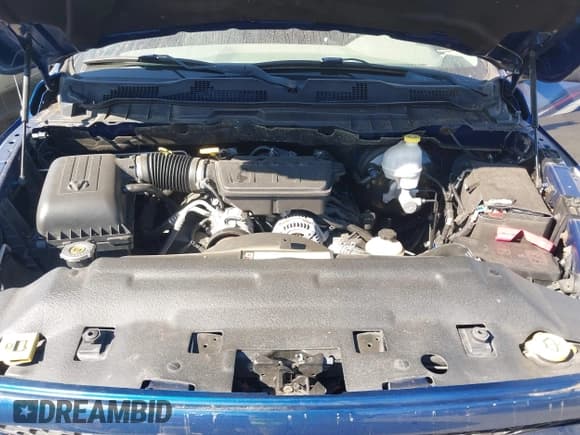 ✅ 2009 Dodge 1500 SLT • VIN: 1D3HV13P09S812474 • Lot: 43239487. Wystawiony na IAAI z przebiegiem 193 733 mil. Bezpłatny archiwum sprzedaży aukcyjnych z USA i szczegółowy raport historii pojazdu na DreamBid. Zdjęcie 10.