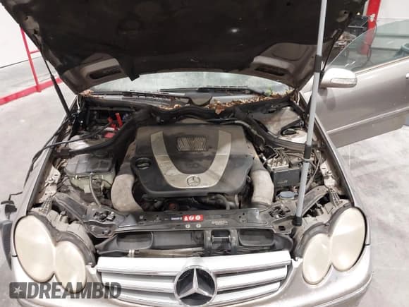 ✅ 2006 Mercedes-Benz CLK 350 • VIN: WDBTJ56J46F168672 • Lot: 42715909. Wystawiony na IAAI z przebiegiem 179 730 mil. Bezpłatny archiwum sprzedaży aukcyjnych z USA i szczegółowy raport historii pojazdu na DreamBid. Zdjęcie 10.