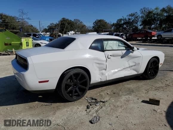 ✅ 2010 Dodge Challenger SE • VIN: 2B3CJ4DV4AH306575 • Lot: 46276145. Wystawiony na Copart z przebiegiem 154 287 mil. Bezpłatny archiwum sprzedaży aukcyjnych z USA i szczegółowy raport historii pojazdu na DreamBid. Zdjęcie 3.