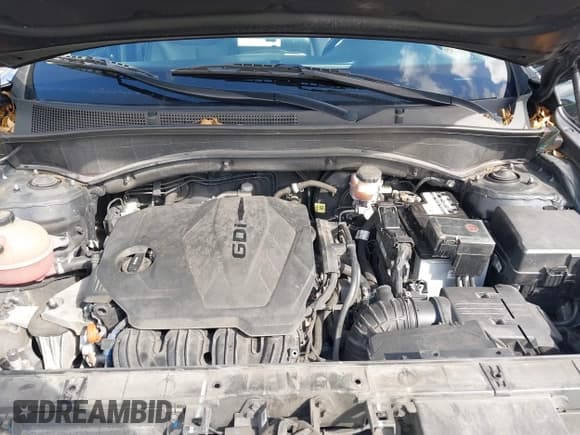 ✅ 2022 Hyundai Santa Fe SEL • VIN: 5NMS34AJ3NH404867 • Lot: 43484971. Listed on IAAI with 163,193 mi. Free auction sales archive from the USA and detailed vehicle history report at DreamBid. Image 10.