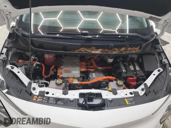 ✅ 2023 Chevrolet Bolt EV 2LT • VIN: 1G1FX6S05P4189343 • Lot: 47359015. Wystawiony na Copart z przebiegiem 61 720 mil. Bezpłatny archiwum sprzedaży aukcyjnych z USA i szczegółowy raport historii pojazdu na DreamBid. Zdjęcie 11.