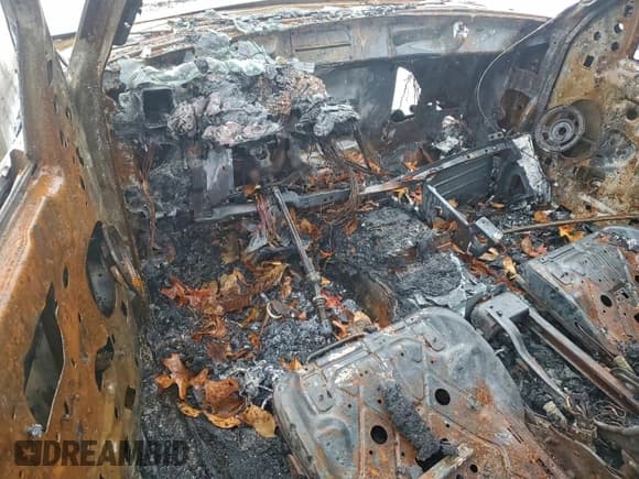 ✅ 2010 Ford Ranger XL • VIN: 1FTLR1FE3APA71827 • Lot: 94085315. Listed on Copart with Not provided. Free auction sales archive from the USA and detailed vehicle history report at DreamBid. Image 8.