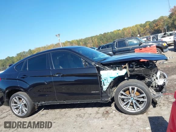 ✅ 2018 BMW X6 sDrive35i • VIN: 5UXKU0C5XJ0G69514 • Лот: 43594130. Опубликован ранее на IAAI с пробегом 54 282 миль. Бесплатный доступ к архиву аукционных продаж из США и подробный отчёт об истории автомобиля на DreamBid. Изображение 14.