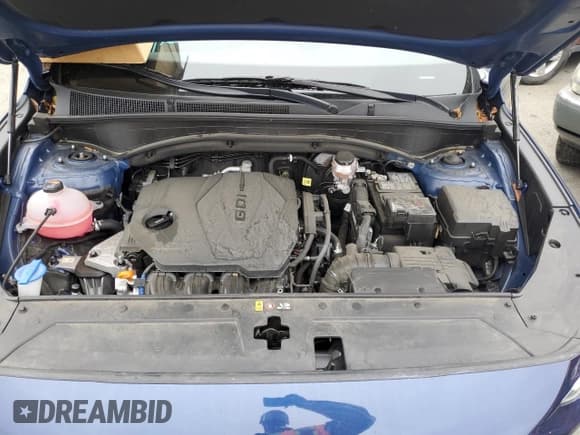 ✅ 2021 Hyundai Santa Fe SEL • VIN: 5NMS3DAJ1MH370412 • Lot: 54184443. Wystawiony na Copart z przebiegiem 25 392 mil. Bezpłatny archiwum sprzedaży aukcyjnych z USA i szczegółowy raport historii pojazdu na DreamBid. Zdjęcie 12.