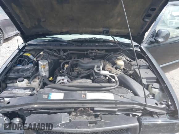 ✅ 1999 Chevrolet S-10 LS • VIN: 1GCDT14X1X8108564 • Lot: 43241574. Wystawiony na IAAI z przebiegiem 68 351 mil. Bezpłatny archiwum sprzedaży aukcyjnych z USA i szczegółowy raport historii pojazdu na DreamBid. Zdjęcie 10.