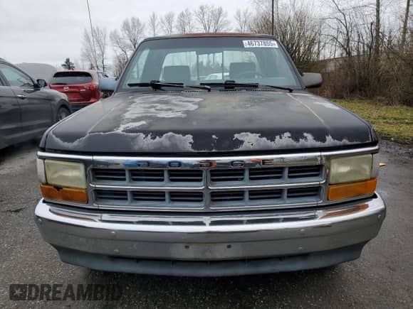 1993 Dodge Dakota with VIN 1B7FL23X4PS285239, listed as a Copart auction lot 46737855 with 172,732 mi miles and Clean title. Bid and sale history available at DreamBid. Image 5.