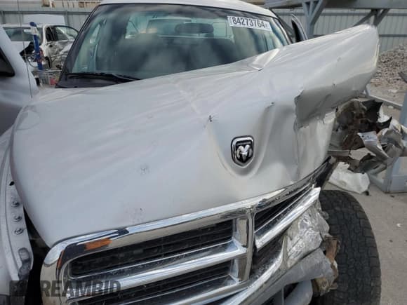 ✅ 2004 Dodge Dakota SLT • VIN: 1D7HG48N84S717848 • Lot: 84273764. Wystawiony na Copart z przebiegiem Nie podano. Bezpłatny archiwum sprzedaży aukcyjnych z USA i szczegółowy raport historii pojazdu na DreamBid. Zdjęcie 13.