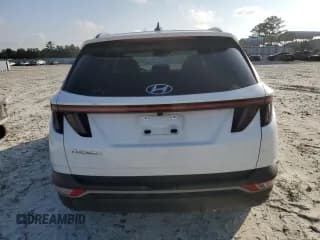 ✅ 2023 Hyundai Tucson SEL • VIN: 5NMJF3AE2PH254110 • Lot: 71382464. Wystawiony na Copart z przebiegiem 16 811 mil. Bezpłatny archiwum sprzedaży aukcyjnych z USA i szczegółowy raport historii pojazdu na DreamBid. Zdjęcie 6.