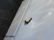 ✅ 2008 Ford F-150 XL • VIN: 1FTRF12208KB17197 • Lot: 43937892. Listed on IAAI with 36,639 mi. Free auction sales archive from the USA and detailed vehicle history report at DreamBid. Image 7.