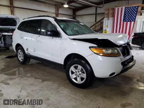 ✅ 2009 Hyundai Santa Fe GLS • VIN: 5NMSG13D89H248048 • Lot: 78258324. Listed on Copart with 261,583 mi. Free auction sales archive from the USA and detailed vehicle history report at DreamBid. Image 4.