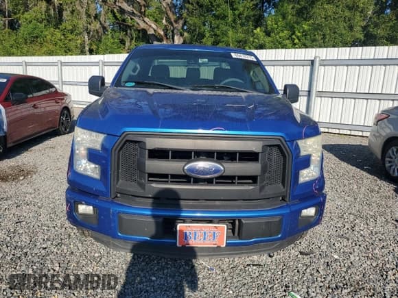✅ 2015 Ford F-150 XL • VIN: 1FTEX1CP5FFD11350 • Lot: 69410315. Wystawiony na Copart z przebiegiem 226 173 mil. Bezpłatny archiwum sprzedaży aukcyjnych z USA i szczegółowy raport historii pojazdu na DreamBid. Zdjęcie 5.