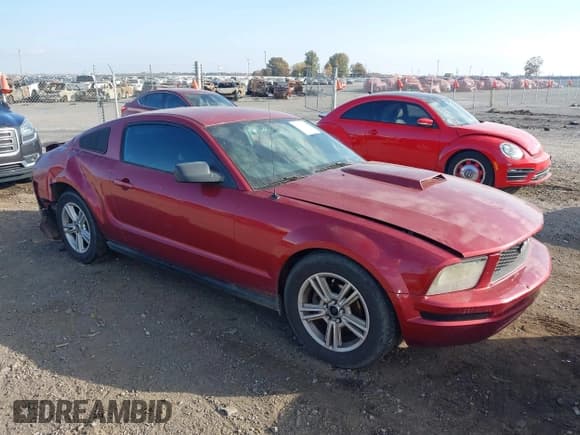 ✅ 2007 Ford Mustang Deluxe • VIN: 1ZVFT80N875333293 • Lot: 43703309. Listed on IAAI with 267,629 mi. Free auction sales archive from the USA and detailed vehicle history report at DreamBid. Image 1.