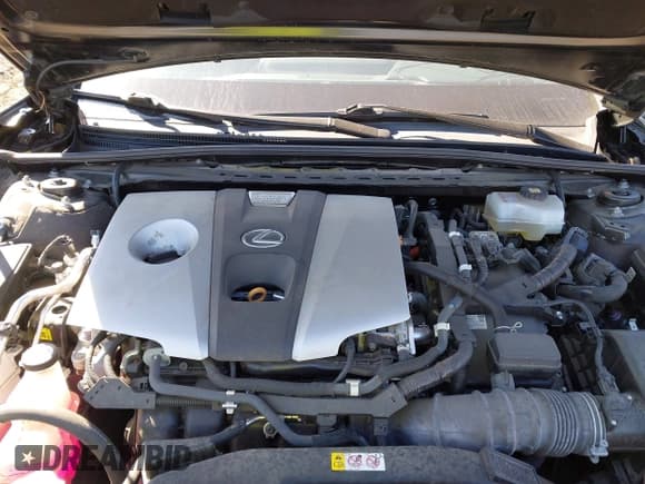 ✅ 2021 Lexus ES 300h Luxury • VIN: 58AEA1C15MU011530 • Lot: 41686962. Listed on IAAI with 39,343 mi. Free auction sales archive from the USA and detailed vehicle history report at DreamBid. Image 10.