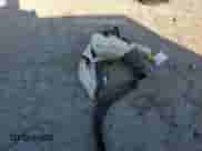 2017 Dodge Grand Caravan SXT с VIN 2C4RDGCG1HR685320, выставлен на аукционе Copart как лот 84951315 с пробегом 135 074 миль миль и Списание • Salvage title. История ставок и продаж доступна на DreamBid. Изображение 13.