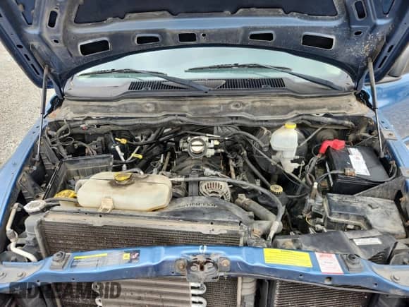 ✅ 2004 Dodge 1500 SLT • VIN: 1D7HU18NX4S573100 • Lot: 65593555. Listed on Copart with 129,583 mi. Free auction sales archive from the USA and detailed vehicle history report at DreamBid. Image 11.