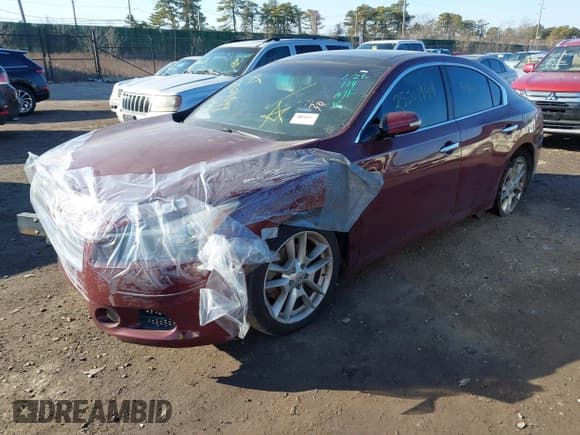 ✅ 2010 Nissan Maxima SV • VIN: 1N4AA5AP4AC812997 • Lot: 41657107. Listed on IAAI with Not provided. Free auction sales archive from the USA and detailed vehicle history report at DreamBid. Image 2.