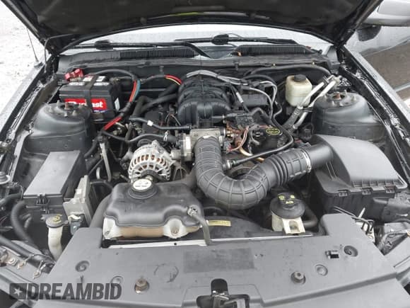 ✅ 2007 Ford Mustang Deluxe • VIN: 1ZVHT80N975196728 • Lot: 43587905. Listed on IAAI with 109,975 mi. Free auction sales archive from the USA and detailed vehicle history report at DreamBid. Image 10.