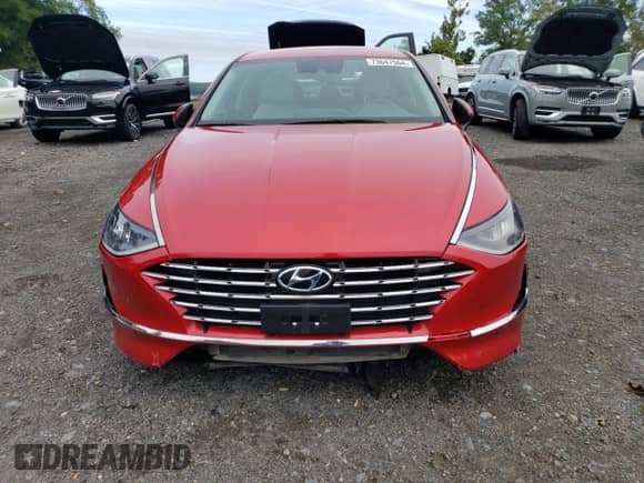 ✅ 2020 Hyundai Sonata Ultimate • VIN: KMHL34JJ7LA011722 • Лот: 73647564. Размещён на Copart с пробегом 48 195 миль миль. Получите бесплатный доступ к архиву аукционных продаж из США и посмотрите подробный отчёт об истории автомобиля на DreamBid. Изображение 5.