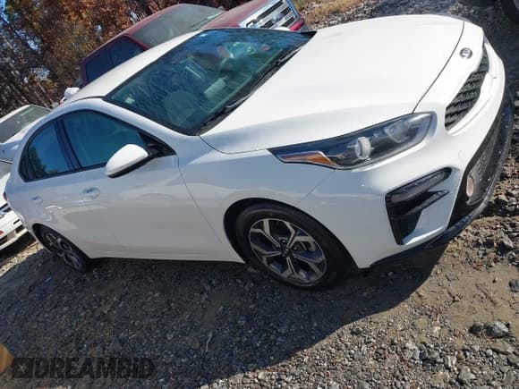 ✅ 2019 Kia Forte LXS • VIN: 3KPF24ADXKE119908 • Lot: 43720889. Wystawiony na IAAI z przebiegiem 110 730 mil. Bezpłatny archiwum sprzedaży aukcyjnych z USA i szczegółowy raport historii pojazdu na DreamBid. Zdjęcie 13.