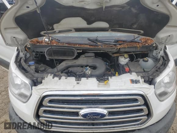 ✅ 2017 Ford Transit • VIN: 1FTYR1YM0HKA87159 • Lot: 60666785. Wystawiony na Copart z przebiegiem 226 284 mil. Bezpłatny archiwum sprzedaży aukcyjnych z USA i szczegółowy raport historii pojazdu na DreamBid. Zdjęcie 12.