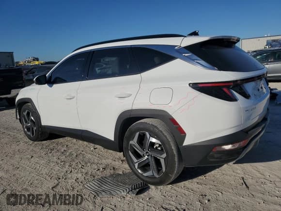 ✅ 2024 Hyundai Tucson Limited • VIN: 5NMJE3DE4RH325597 • Lot: 73392224. Wystawiony na Copart z przebiegiem 17 831 mil. Bezpłatny archiwum sprzedaży aukcyjnych z USA i szczegółowy raport historii pojazdu na DreamBid. Zdjęcie 2.