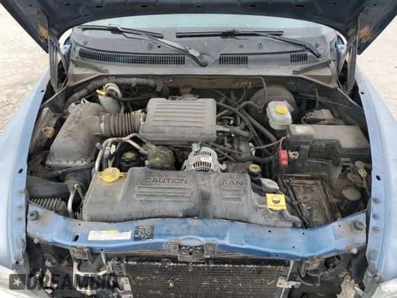 2002 Dodge Dakota Sport z VIN 1B7HG38N22S696268, wystawiony jako Copart lot #78382174 z przebiegiem 239 879 mil mil oraz Szkoda całkowita • Salvage title. Historia ofert i sprzedaży dostępna na DreamBid. Obrazek 11.