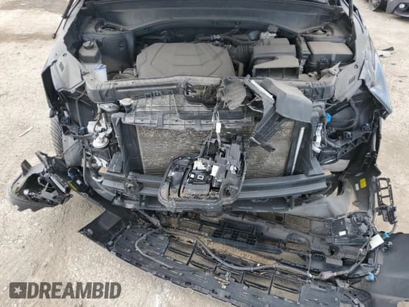 ✅ 2024 Kia Telluride SX X-Pro • VIN: 5XYP5DGC3RG416638 • Lot: 62874765. Wystawiony na Copart z przebiegiem Nie podano. Bezpłatny archiwum sprzedaży aukcyjnych z USA i szczegółowy raport historii pojazdu na DreamBid. Zdjęcie 12.