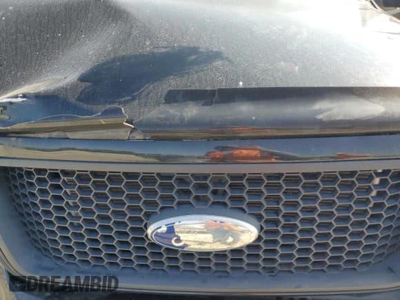 ✅ 2006 Ford F-150 XLT • VIN: 1FTRF04556KD69283 • Lot: 62755325. Wystawiony na Copart z przebiegiem 166 585 mil. Bezpłatny archiwum sprzedaży aukcyjnych z USA i szczegółowy raport historii pojazdu na DreamBid. Zdjęcie 12.