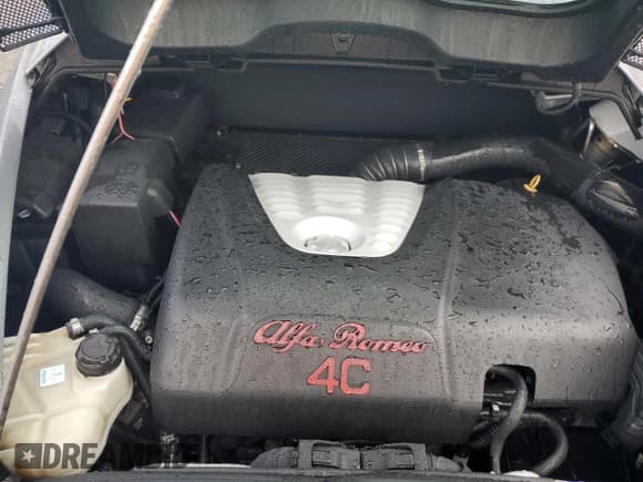 ✅ 2017 Alfa Romeo 4C • VIN: ZARBAAA46HM245019 • Lot: 74888124. Wystawiony na Copart z przebiegiem Nie podano. Bezpłatny archiwum sprzedaży aukcyjnych z USA i szczegółowy raport historii pojazdu na DreamBid. Zdjęcie 11.