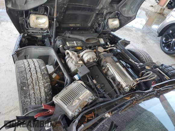 1995 Chevrolet Corvette with VIN 1G1YY22P0S5105136, listed as a Copart auction lot 43157855 with Not provided miles and Clean title. Bid and sale history available at DreamBid. Image 11.