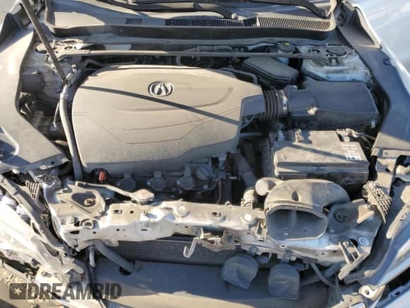 ✅ 2017 Acura TLX V6 w/Technology Pkg • VIN: 19UUB2F51HA000896 • Lot: 47052995. Listed on Copart with 232,611 mi. Free auction sales archive from the USA and detailed vehicle history report at DreamBid. Image 13.