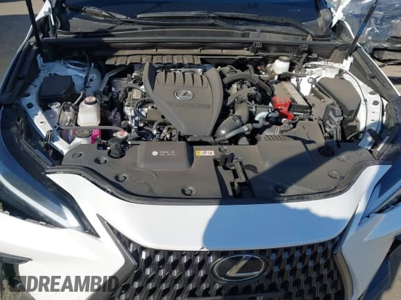 ✅ 2024 Lexus NX 350 • VIN: JTJAGCEZ7R5006478 • Lot: 43596370. Wystawiony na IAAI z przebiegiem 7 352 mil. Bezpłatny archiwum sprzedaży aukcyjnych z USA i szczegółowy raport historii pojazdu na DreamBid. Zdjęcie 10.