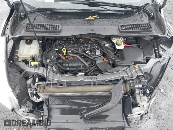 ✅ 2014 Ford Escape SE • VIN: 1FMCU0GX6EUB92878 • Lot: 43773393. Wystawiony na IAAI z przebiegiem 58 855 mil. Bezpłatny archiwum sprzedaży aukcyjnych z USA i szczegółowy raport historii pojazdu na DreamBid. Zdjęcie 10.