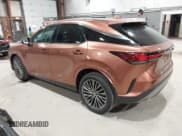 ✅ 2024 Lexus RX 350 • VIN: 2T2BAMCA8RC067896 • Lot: 42329287. Wystawiony na IAAI z przebiegiem 15 301 mil. Bezpłatny archiwum sprzedaży aukcyjnych z USA i szczegółowy raport historii pojazdu na DreamBid. Zdjęcie 3.